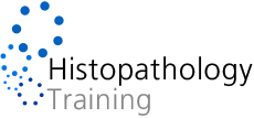 Virtual Pathology eLearning