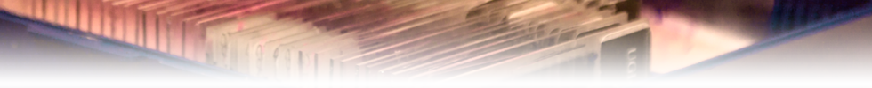 Slides