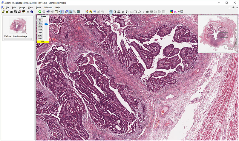 ImageScope Slide Viewer