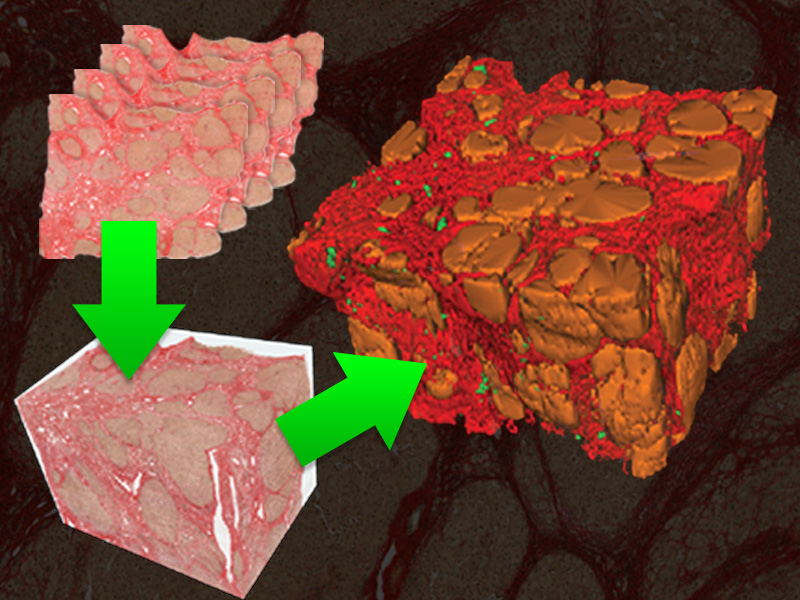 3D Pathology