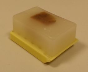 Paraffin Block