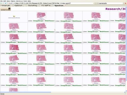 All sections scanned in