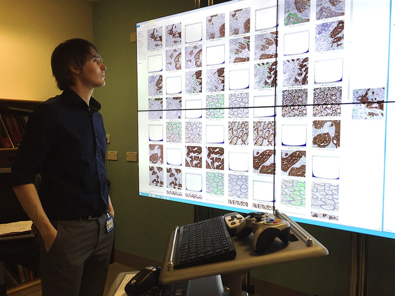 Automated Image Analysis on Virtual Slides