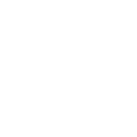 Virtual Pathology Team
