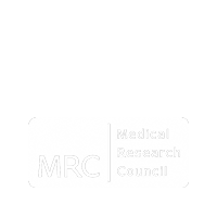 Focus3