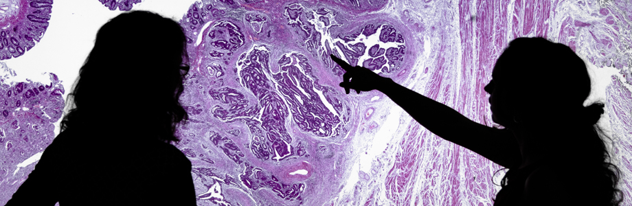 Virtual Pathology Scanners