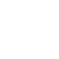 sy13