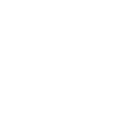 sy20