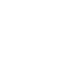 sy21