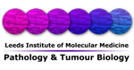 Virtual Pathology at the University of Leeds Website