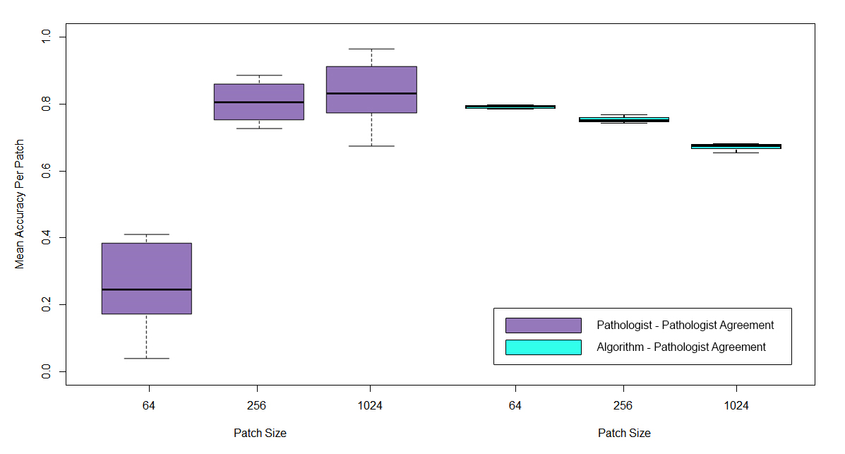 Results of Machine Learning Agreement per Image Patch Size