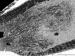 0 LH13-33406c.jpg