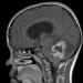 1 LH14-6185a.jpg